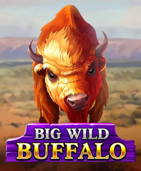 Play Big Wild Buffalo at Big Win Club Casino